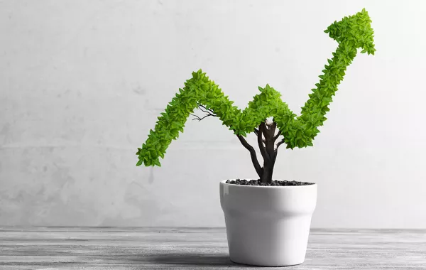 التسويق الأخضر، هل سمعتم به من قبل؟!