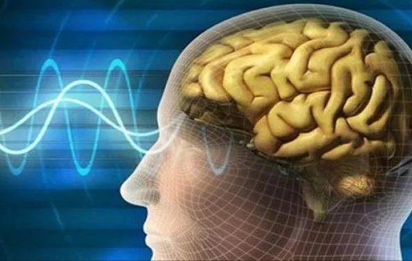 علماء يكشفون عن طريقة لتجديد شباب الدماغ