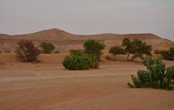 بالفيديو.. ظهور آبار ارتوازية في منطقة تنزه بحفر الباطن
