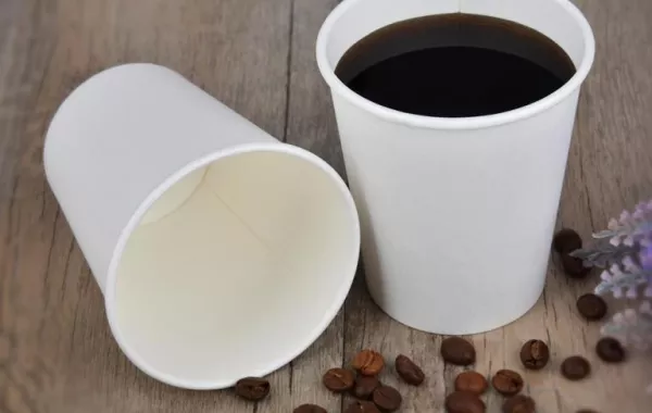 الدكتورة شيماء قهوجي تدعو لدعم البيئة