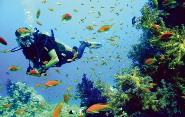 إنشاء أكبر متنزه غوص بالعالم في البحرين