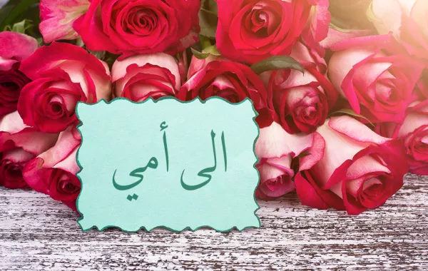 في يوم الأم.. شباب وشابات يعايدون أمهاتهم عبر "سيدتي" بأعذب الكلمات