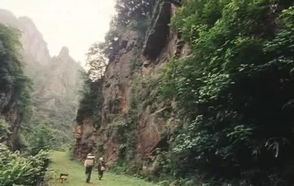 "شومان" تعرض الفيلم الصيني "ساعي البريد في الجبال"