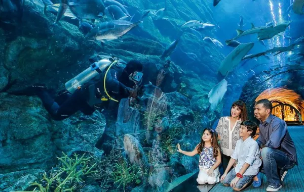 Dubai Aquarium &amp; Underwater Zoo.jpg
