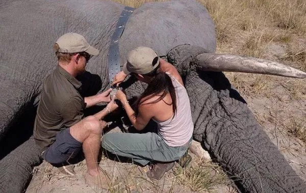صورة تجمع هاري وميغان لم ترها من قبل..تعرفوا عليها