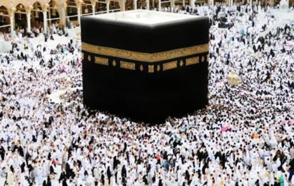الإحصائية الشهرية للعمرة: أكثر من 5.5 مليون تأشيرة.. والغالبية من الإناث