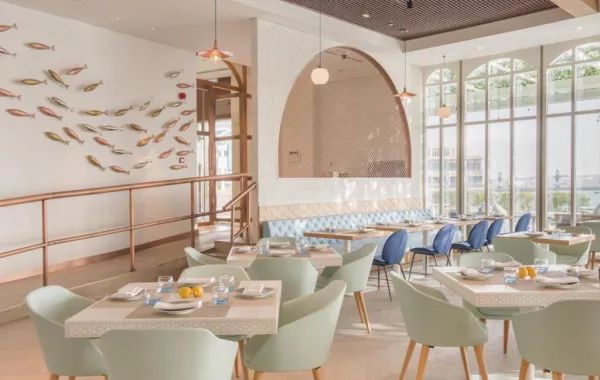 unnamed (1).jpg