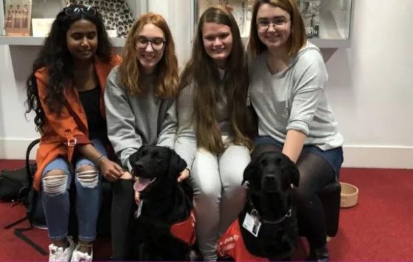 الاستعانة بالكلاب كأعضاء هيئة تدريس بالجامعات البريطانية