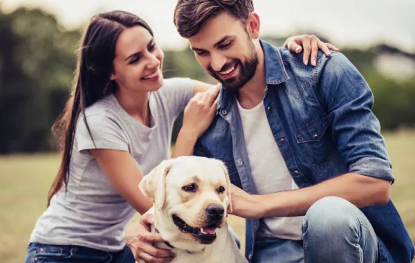 التعامل مع مشاكل تربية الحيوانات الأليفة بين الأزواج