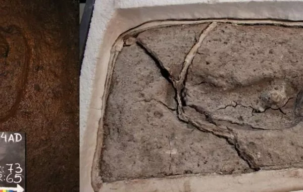 عمره 15 ألف عام.. علماء يعثرون على أقدم «أثر بشري» في أميركا الجنوبية