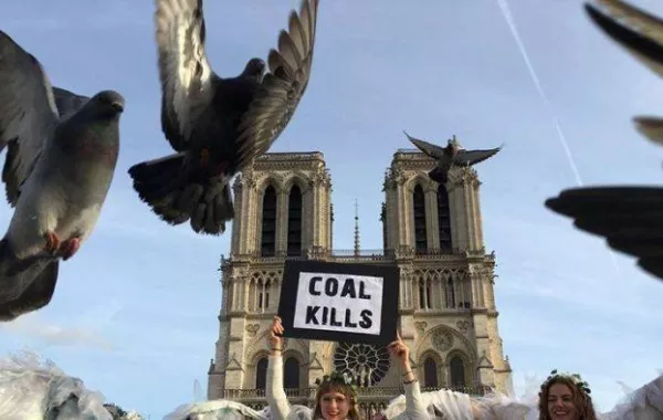 الشرطة الألمانية تخالف «حمــامة متهورة» تجاوزت السرعة المسموح بها