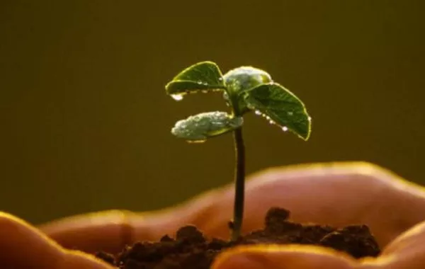 فضل شهر رمضان المبارك