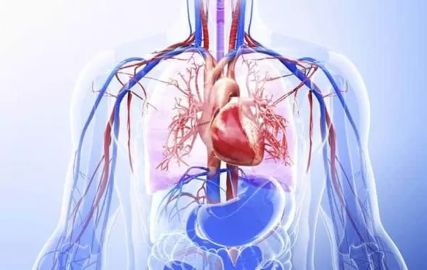 4 مراحل يمر بها جسم الإنسان خلال شهر الصيام.. تعرفوا عليها!