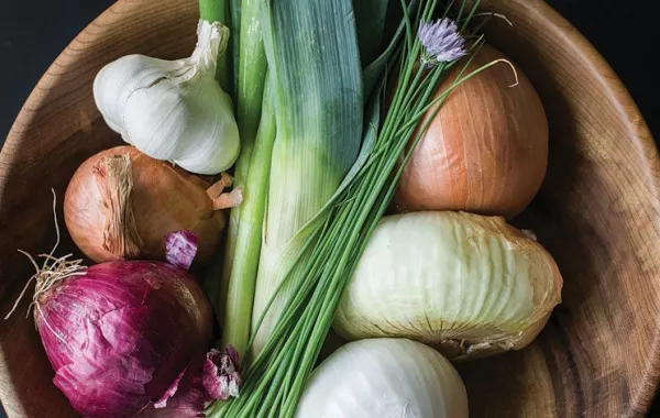 حكم أكل الثوم والبصل فى رمضان؟