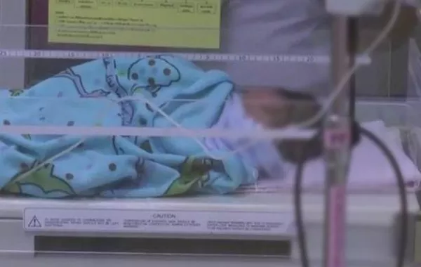 كلب ينقذ طفلاً دفنته أمه حيًّا في إحدى المزارع!