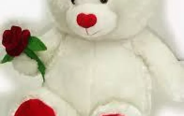 يطالب المحكمة بتطليق زوجته بسبب حبها لـ«الدبدوب»