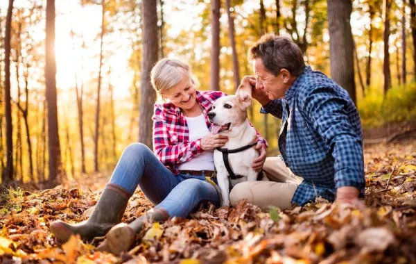 دراسة: تربية الكلاب تساعد على الالتزام بالنشاط البدني