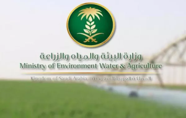 إنشاء مدينه عالمية للتمور