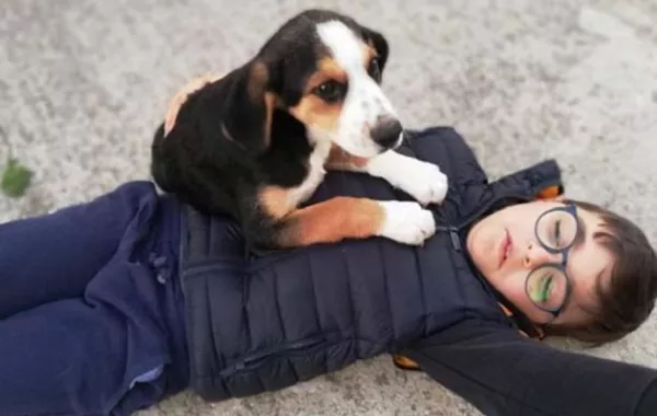 طفل ينتظر إجازة الصيف ليرعى الكلاب الضالة