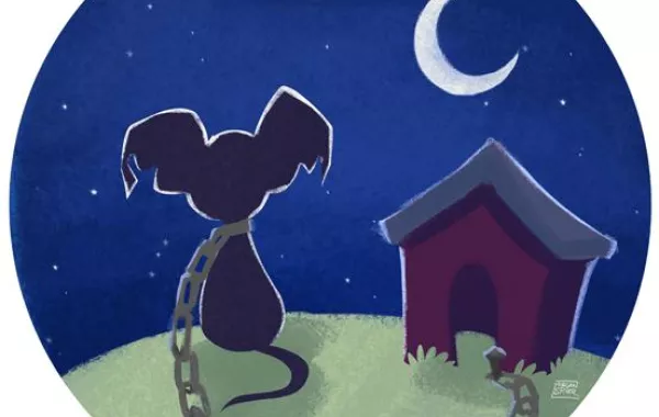 «كلب وفيّ» ينتظر صاحبه المتوفى أمام سريره الفارغ بالمستشفى لعدة أيام