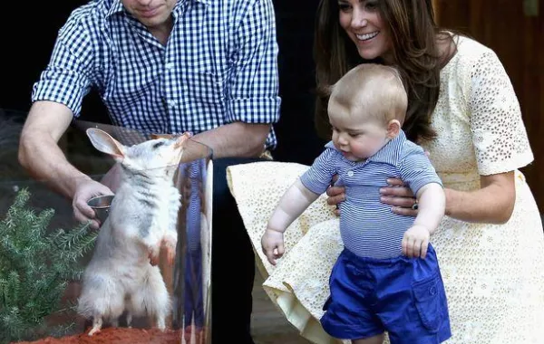 ميغان وكيت تسيران على خطى حماتهما الراحلة الأميرة ديانا كأمهات