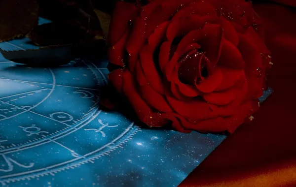 أسرار رجل السرطان