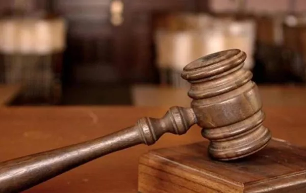 «كامبيون» أول كلب في أمريكا اللاتينية يحاكم صاحبته