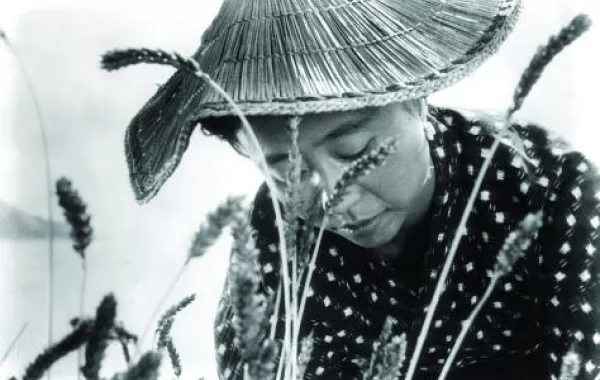 تجري أحداث الفيلم على جزيرة غير مأهولة من أرخبيل اليابان.jpg