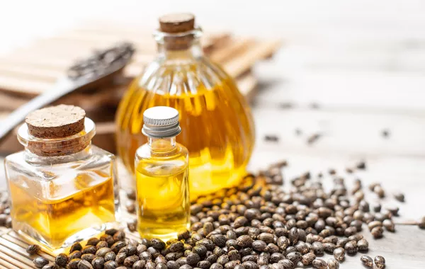 فوائد زيت الخروع للشعر.. وتحذيرات عند الاستخدام