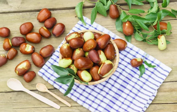 ما هي الـ"جوجوبا"؟