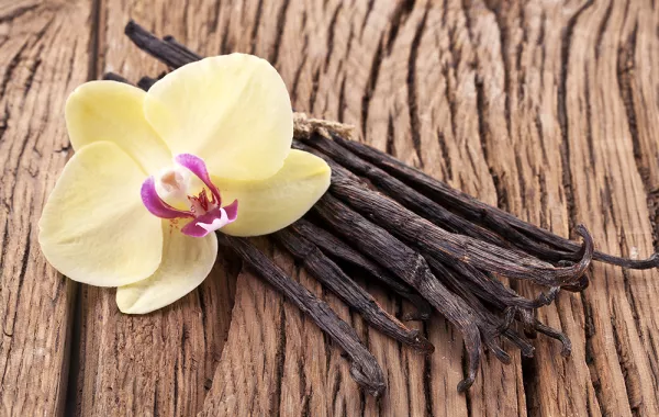 عطور فخمة برائحة الفانيليا الدافئة