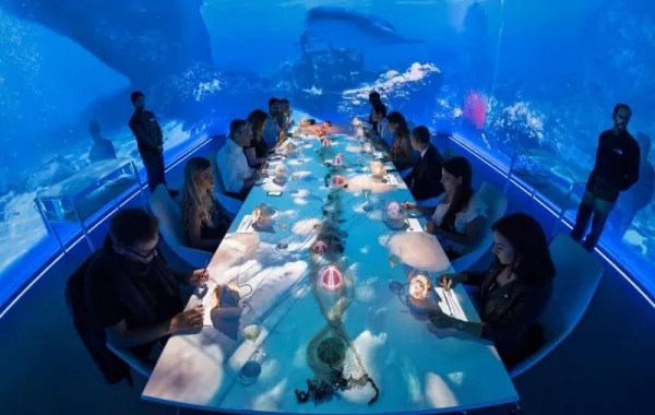 8000 ريال سعودي لوجبة في "موسم الرياض"