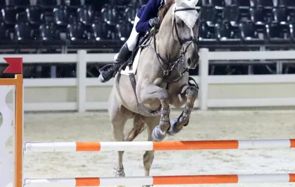 اختتام المرحلة الأولى من مشاركة السعوديات في مسابقة الفاروق ... وتأهل عشر فارسات للنهائي