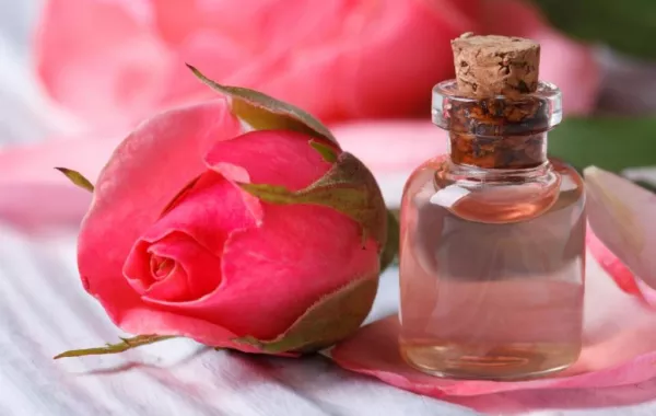 حصاد 2019 لأفضل العطور الزهرية المنعشة