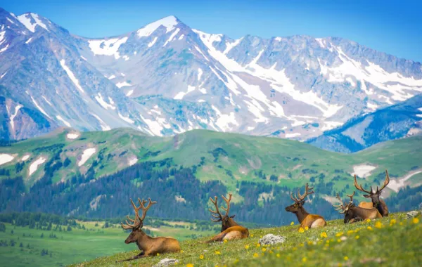 الاحتفال باليوم الدولي للجبال