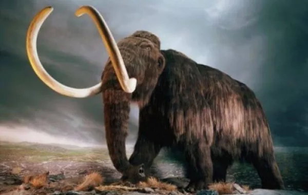 علماء يقتربون من إعادة الـ ماموث" إلى الحياة 