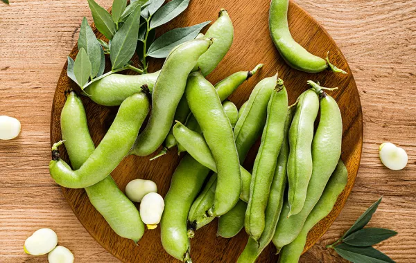 فوائد الفول الأخضر للحامل