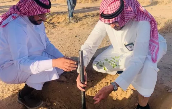 حملة تطوعية لتشجير متنزه سيسد الوطني ضمن حملة لنجعلها خضراء