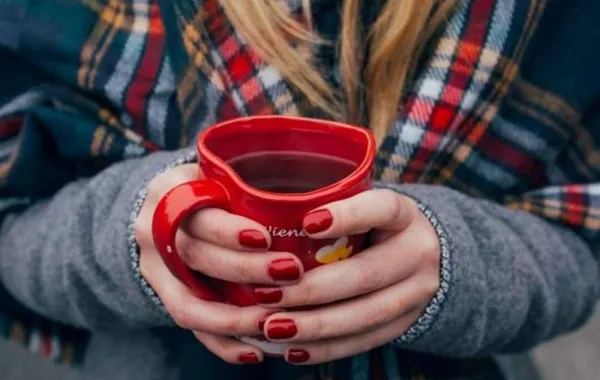 شاي الكمبوتشا 