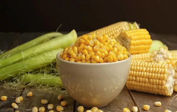 صورة لطبق من الذرة