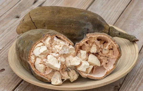 فوائد ثمرة الحبحبوه