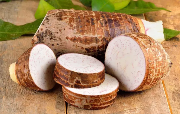 فوائد القلقاس للنساء... احصلي عليها فوراً