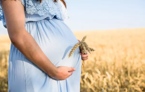 فوائد ماء الشعير أثناء الحمل