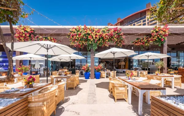 مطعم ميرا من أوبا يفتح أبوابه لاستقبال الزوار