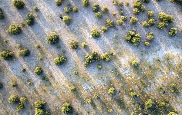 يوم الأرض..تعزيز الانسجام مع الطبيعة والأرض 