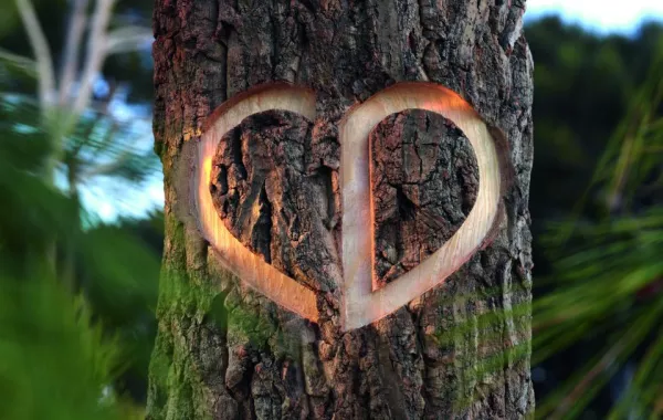 عطر Eden- Roc نهج لمتعة العطور من Christian Dior