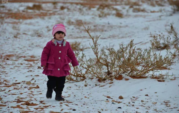 تأجيل بداية اليوم الدراسي إلى 9 صباحا في مدارس تبوك والحدود الشمالية. الصورة من "واس"