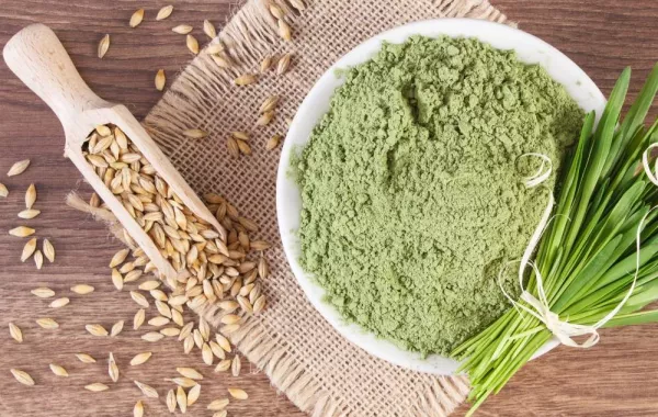 صورة لمطحون حبوب الشعير