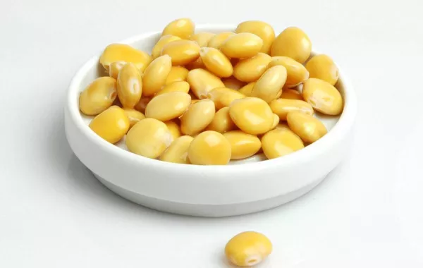 فوائد الترمس الحلو