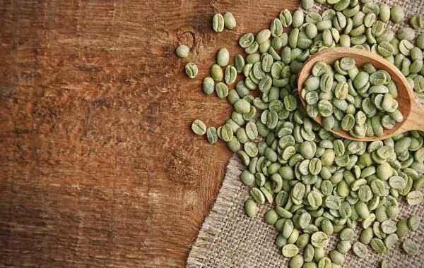 صورة لحبوب القهوة الخضراء 